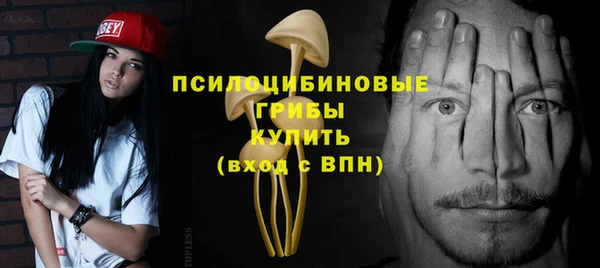 МДПВ Белокуриха