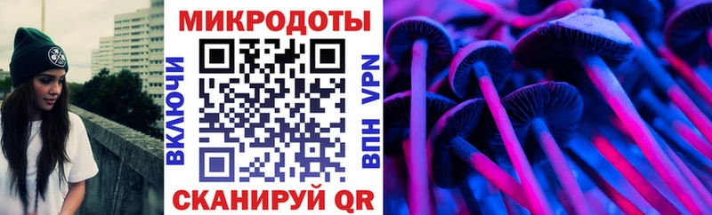 купить наркотик  Дагестанские Огни  Галлюциногенные грибы MAGIC MUSHROOMS 